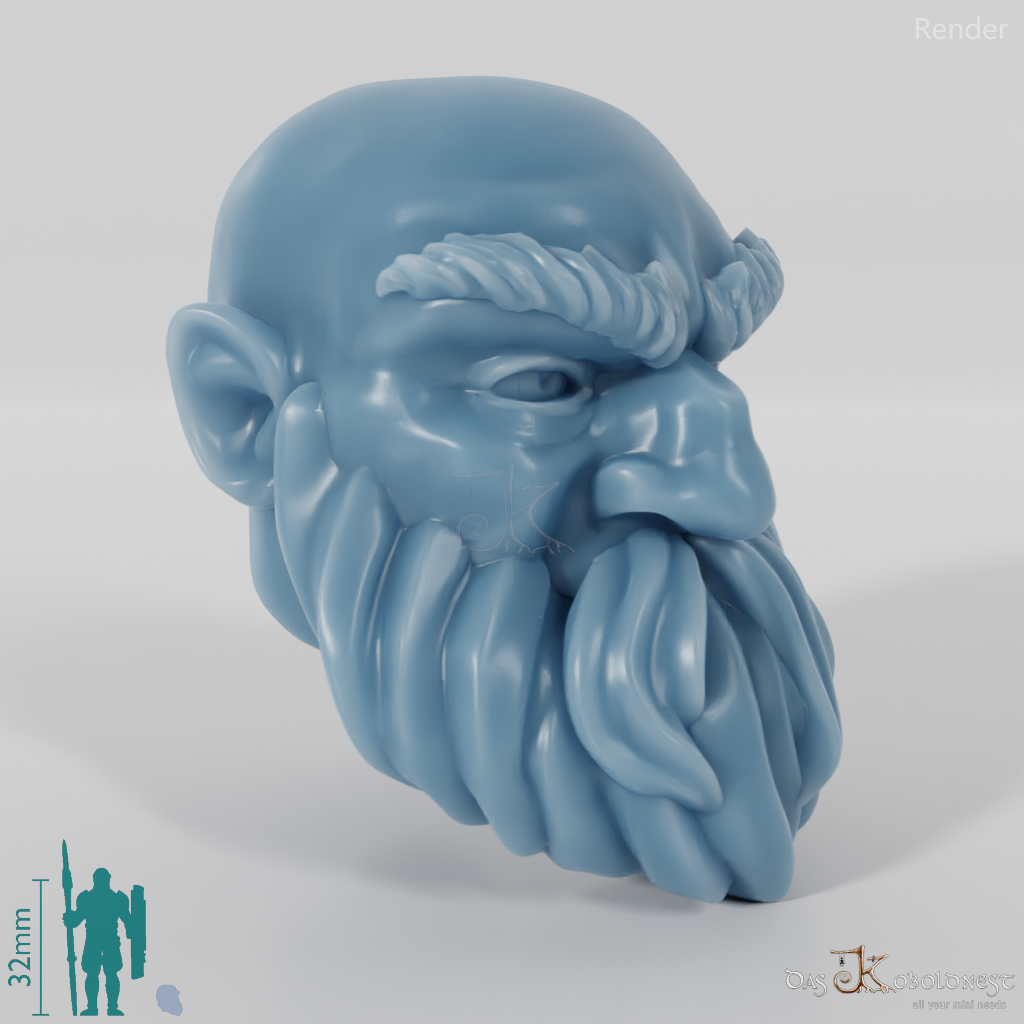 Dwarf Head - Male with bald head and short beard