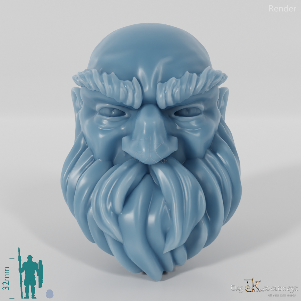 Dwarf Head - Male with bald head and short beard