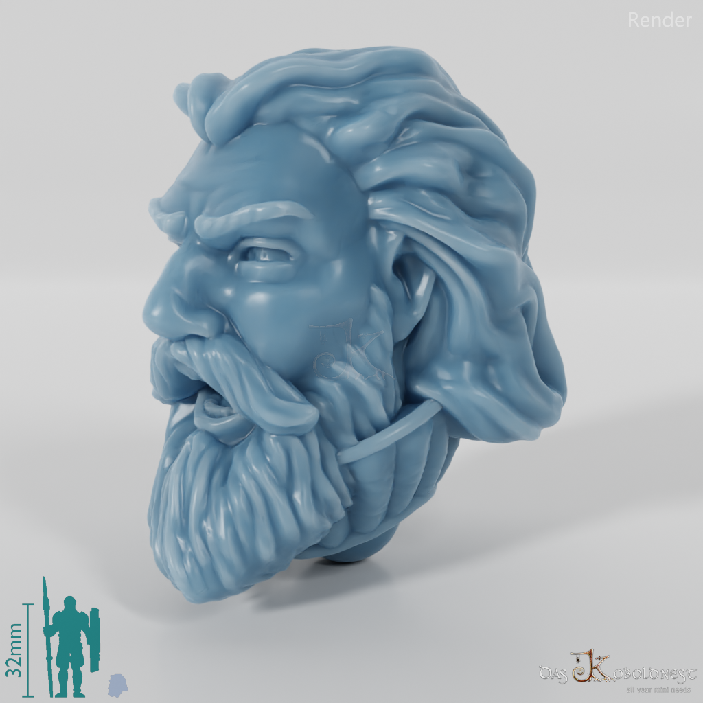 Rider People Head - Male with open hair and beard (calling)