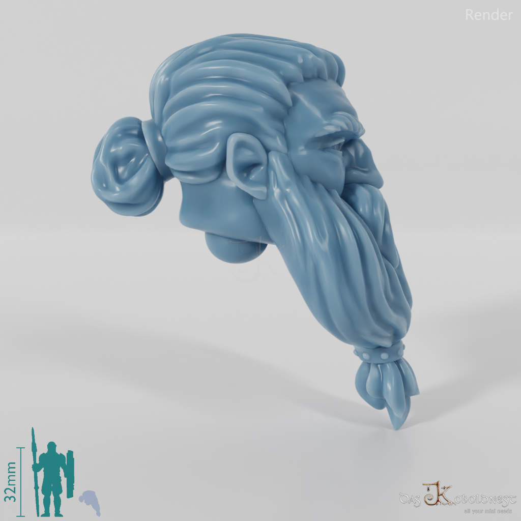 Dwarf Head - Male with long hair and long beard