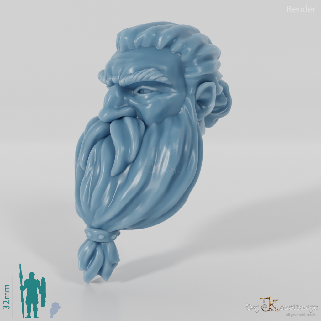 Dwarf Head - Male with long hair and long beard
