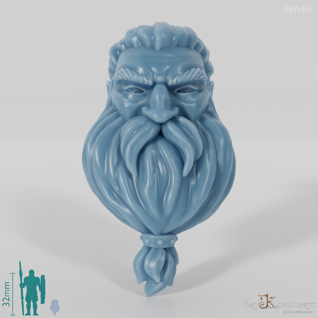 Dwarf Head - Male with long hair and long beard