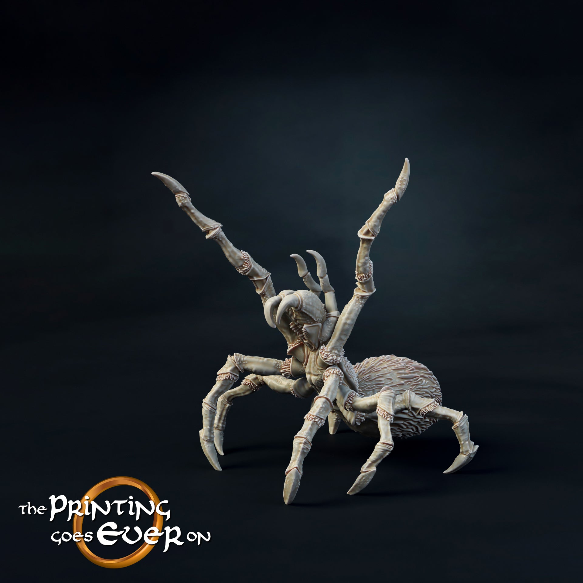 Riesenspinne E, groß