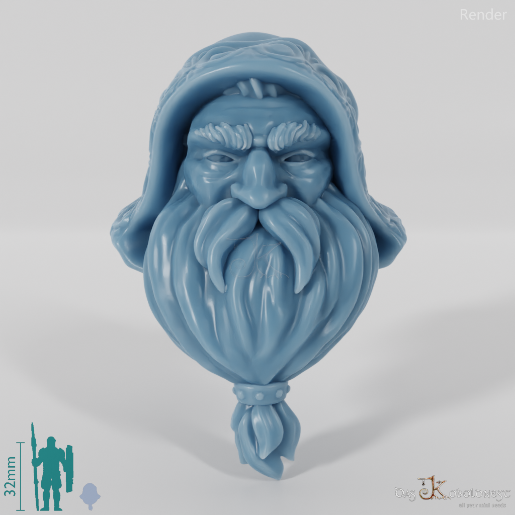 Dwarf Head - Male with decorated hood and long beard