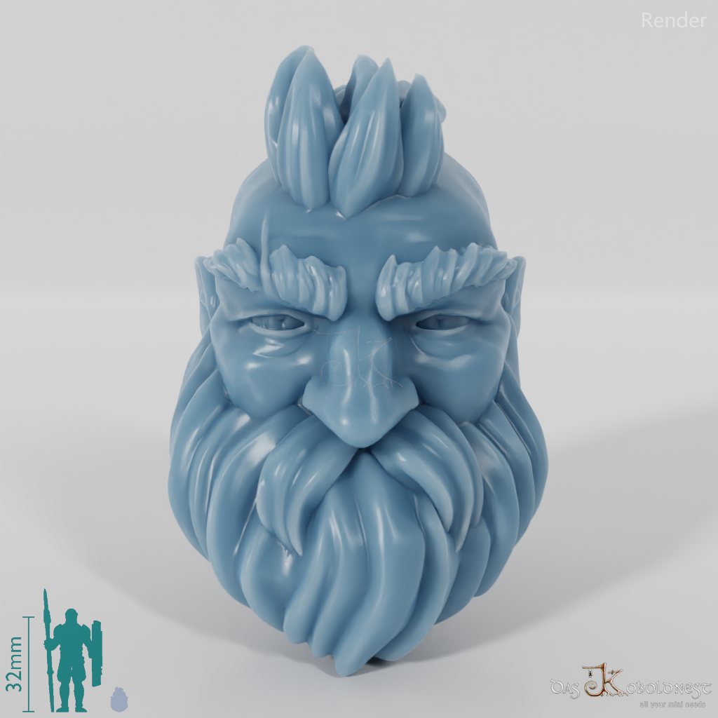 Dwarf Head - Male with a short beard