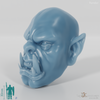 Orc head H
