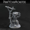 Grung shaman