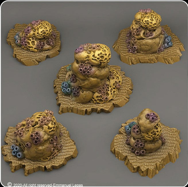 Sponge-covered rocks
