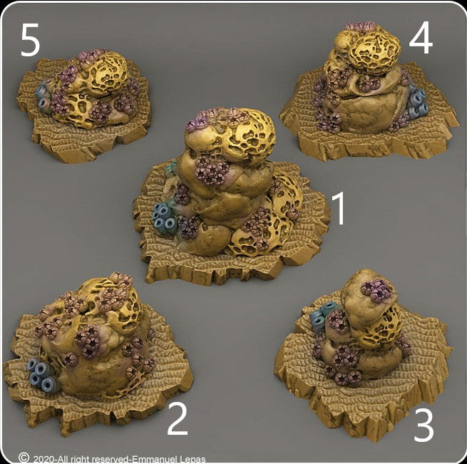 Sponge-covered rocks