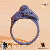Ring of Telekinesis