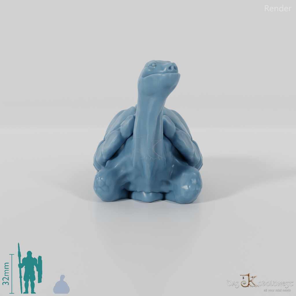 Tortoise - Large tortoise 2