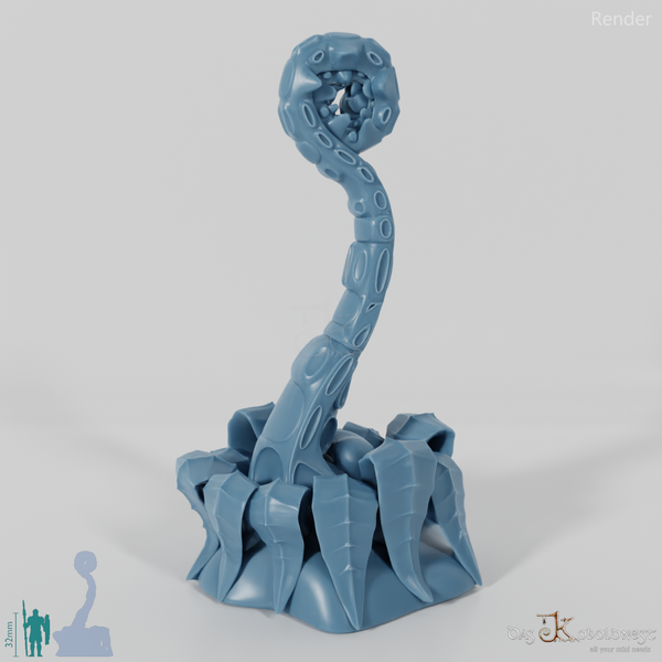 Simple tentacle fern