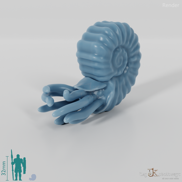 Cephalopods - Cephalopods 01