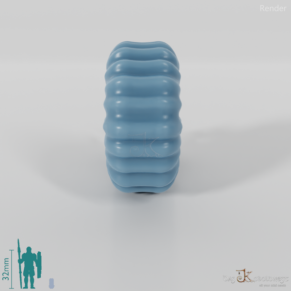 Cephalopods - Cephalopods 01