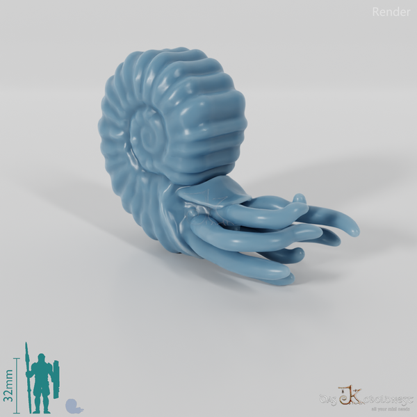 Cephalopods - Cephalopods 01