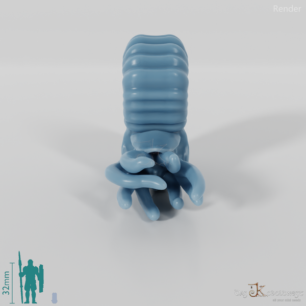 Cephalopods - Cephalopods 01