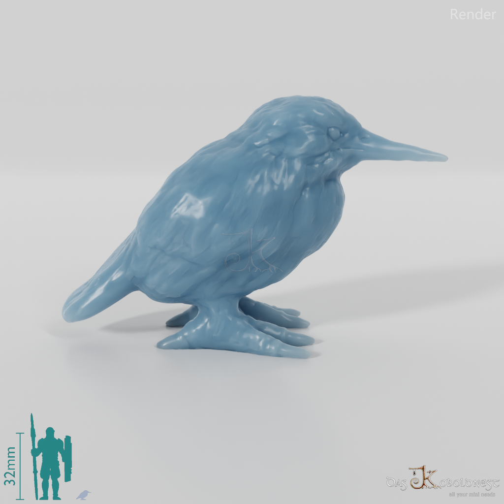 Bird - Kingfisher 01