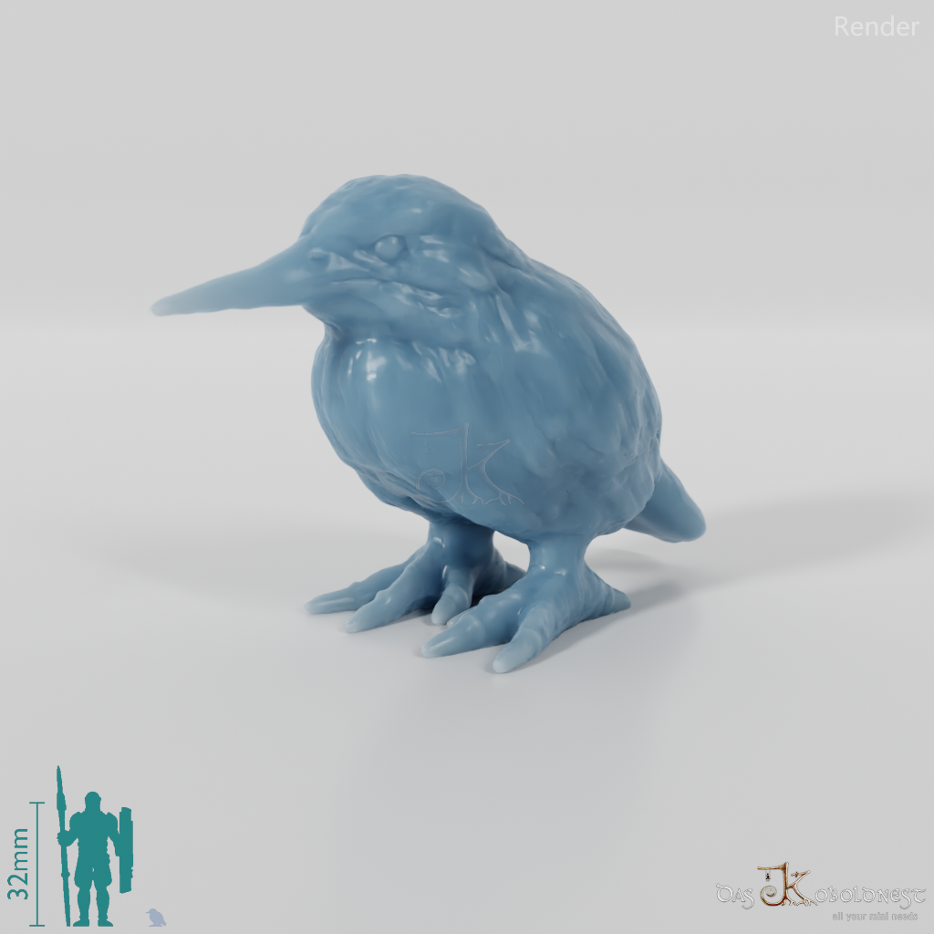 Bird - Kingfisher 01