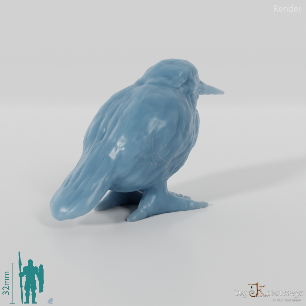 Vogel - Eisvogel 01