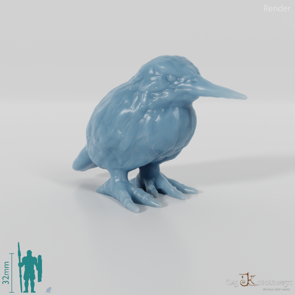 Vogel - Eisvogel 01