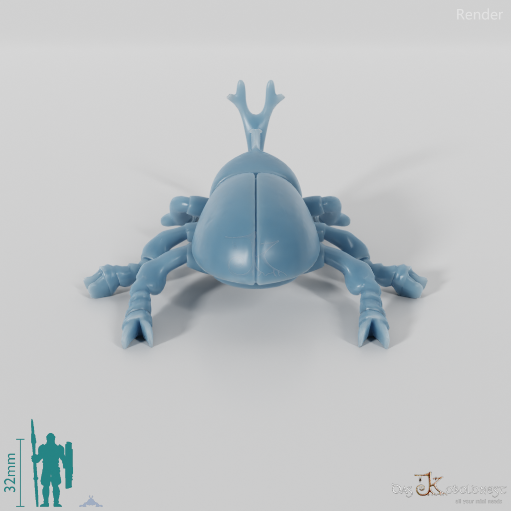 Beetle - Rhinoceros Beetle 01