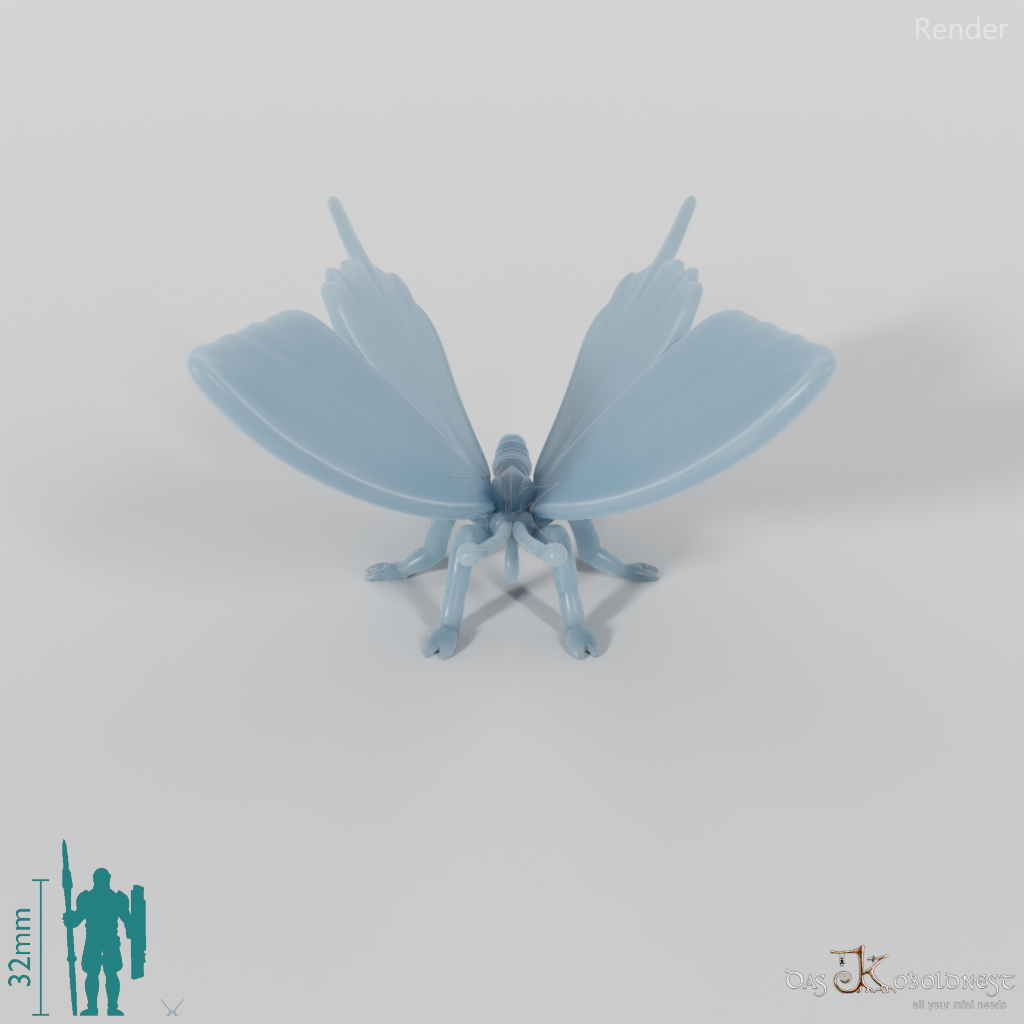 Schmetterling - Schmetterling 01