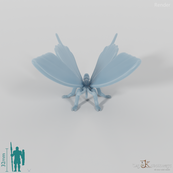 Schmetterling - Schmetterling 01