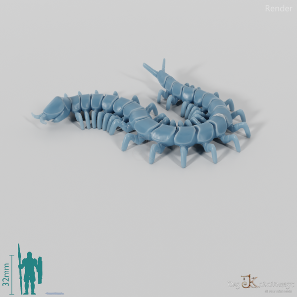 Tausendfüßer - Hundertfüßer 01