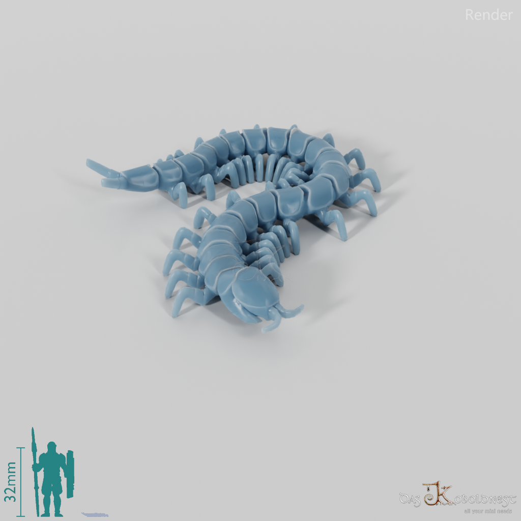 Millipede - Centipede 01