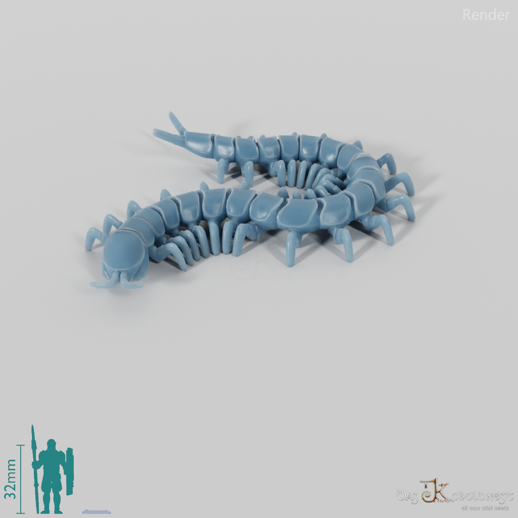 Millipede - Centipede 01