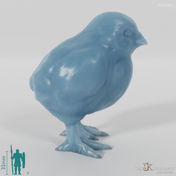 Chicken - Chick 01