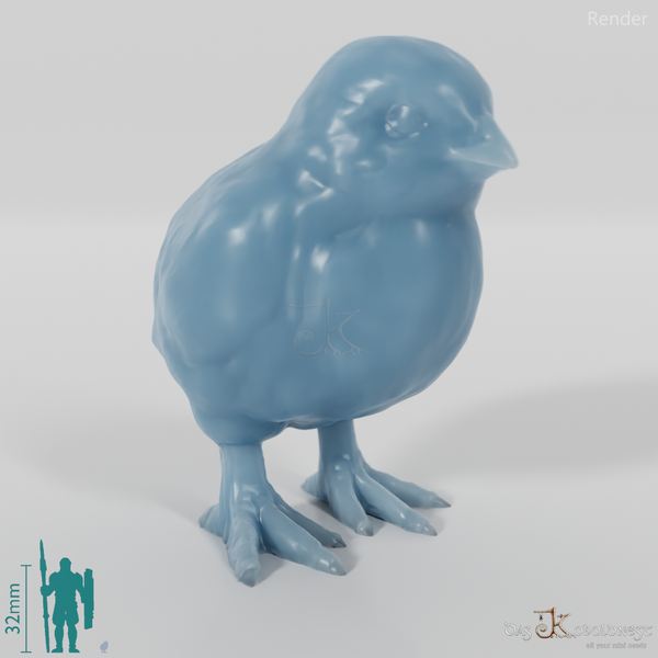 Chicken - Chick 01