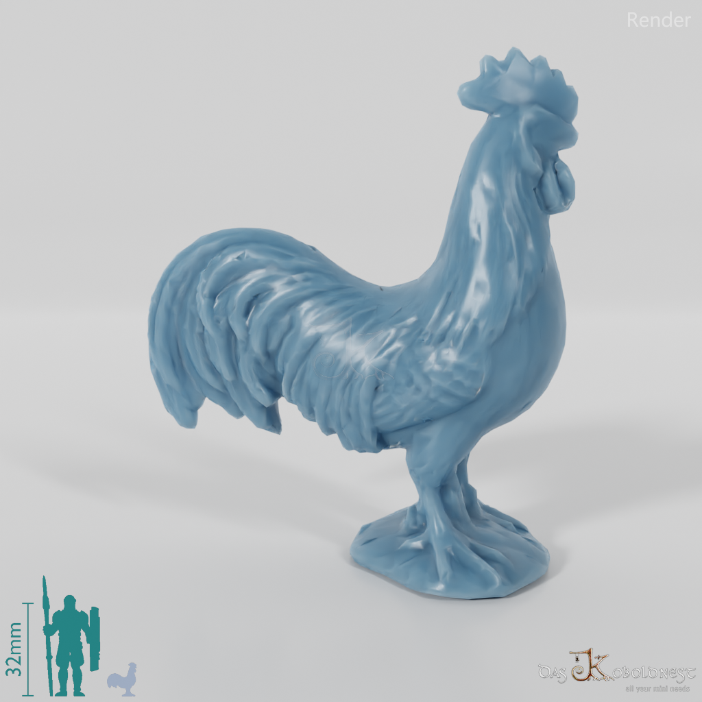 Chicken - Rooster 02