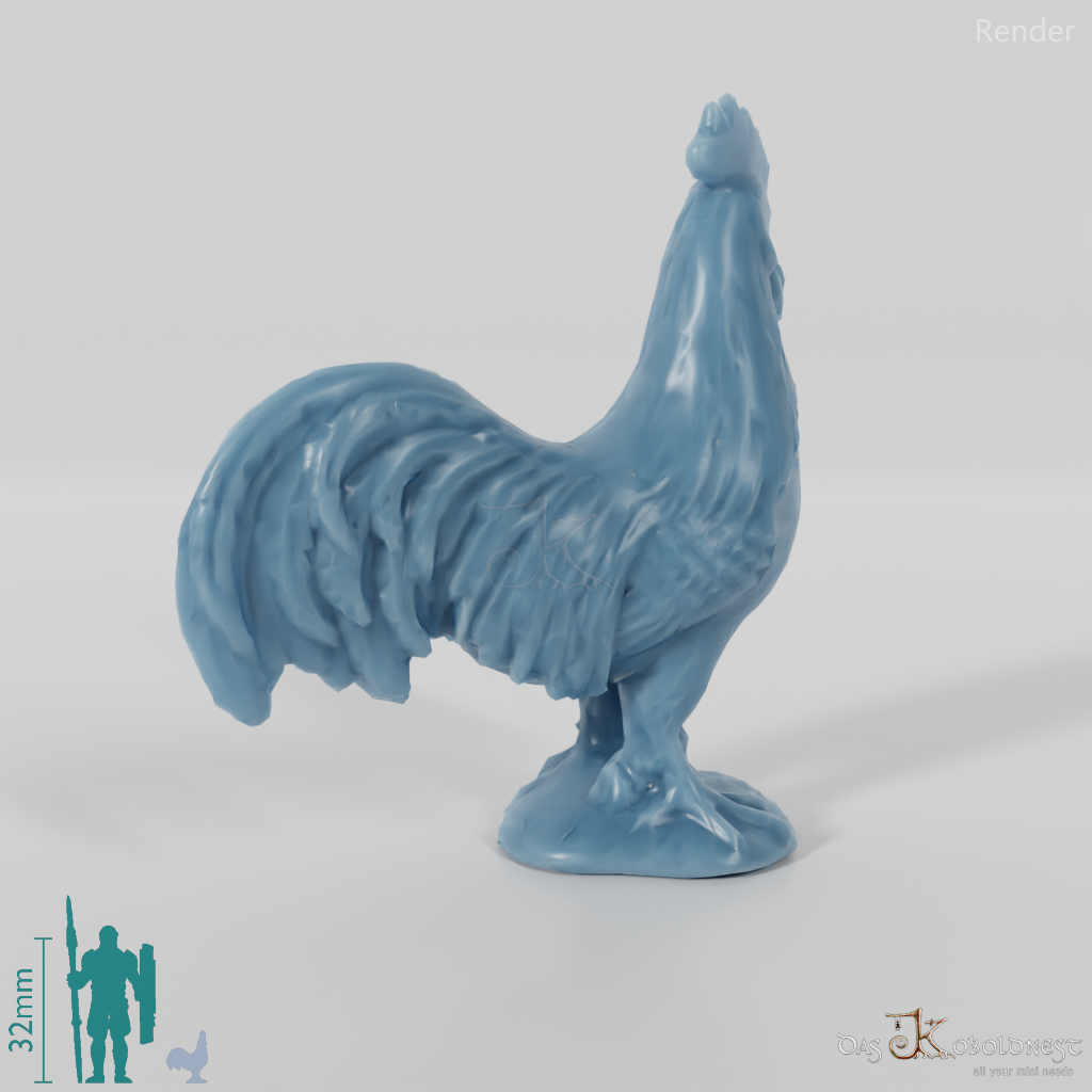 Chicken - Rooster 02