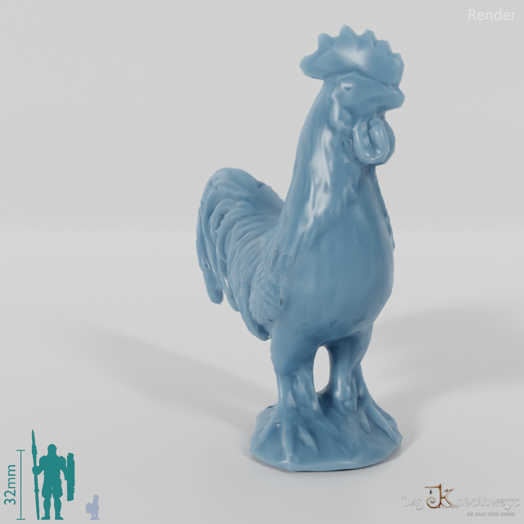 Chicken - Rooster 02