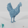 Chicken - Rooster 03