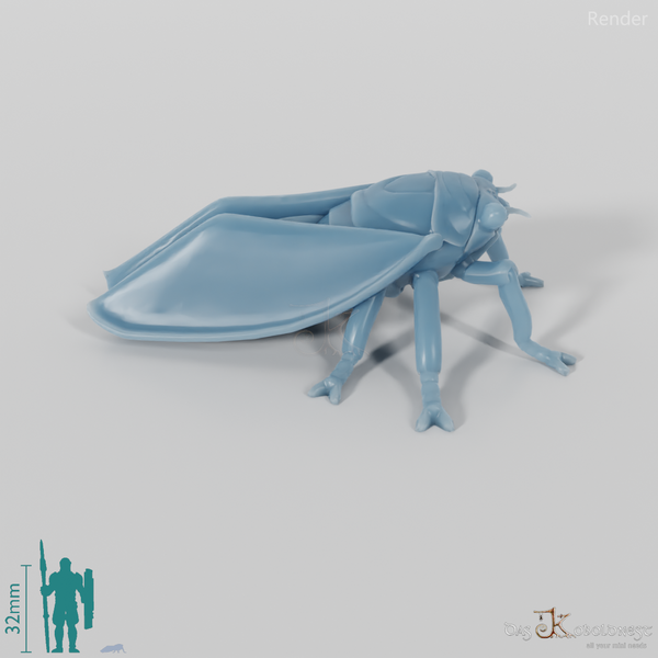 Insect - Cicada 01
