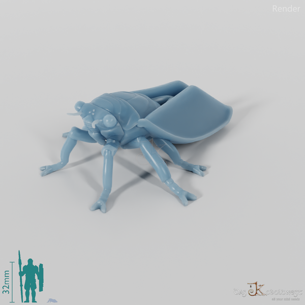 Insect - Cicada 01