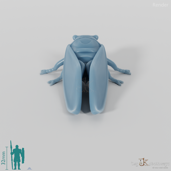 Insect - Cicada 01