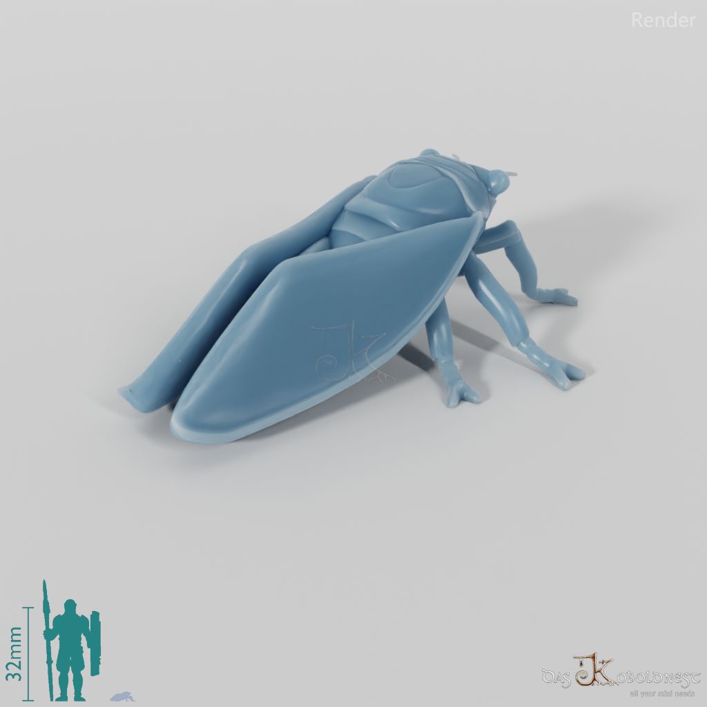 Insekt - Zikade 01