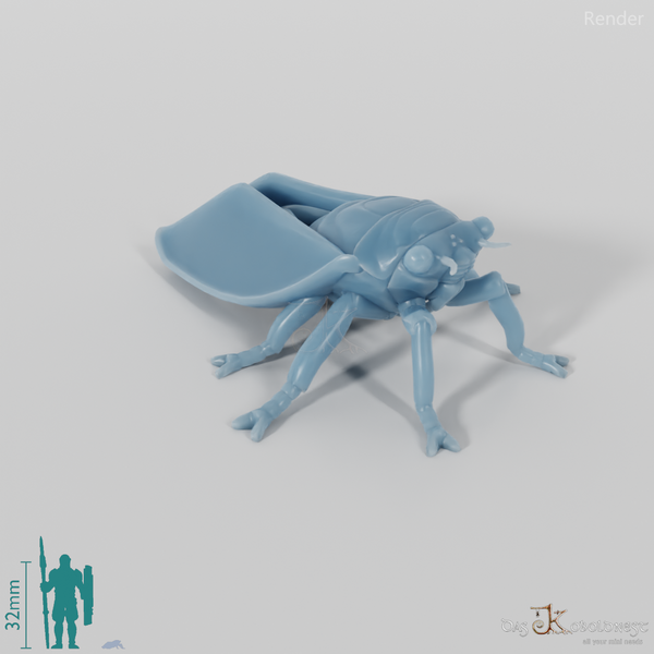 Insect - Cicada 01