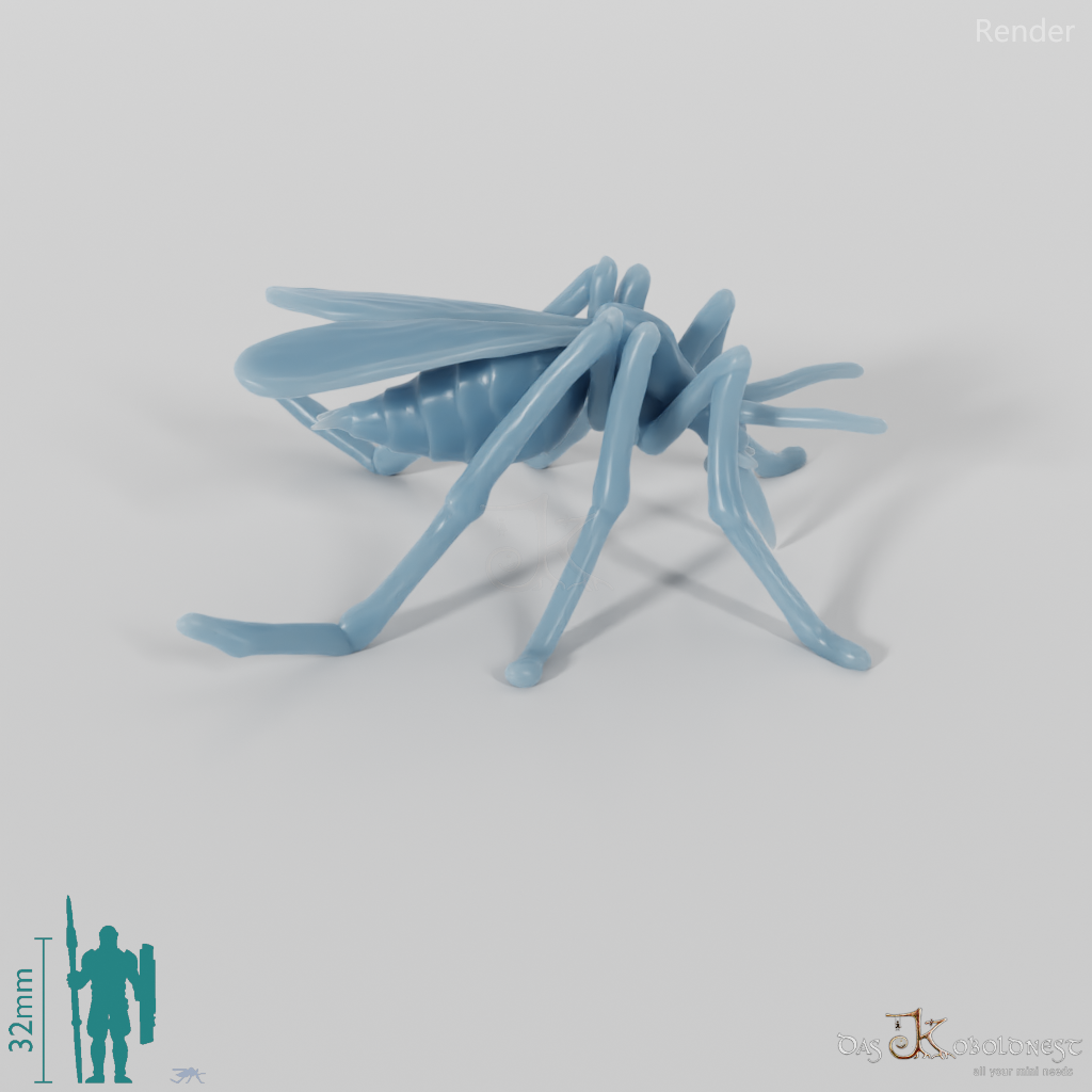 Insect - Mosquito 01