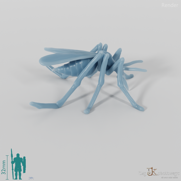 Insect - Mosquito 01