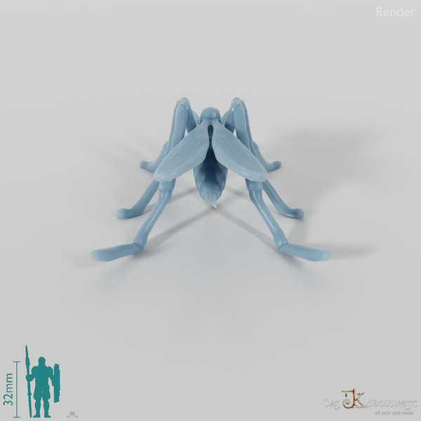 Insect - Mosquito 01
