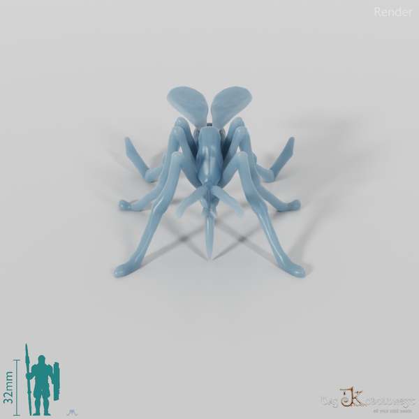 Insect - Mosquito 01