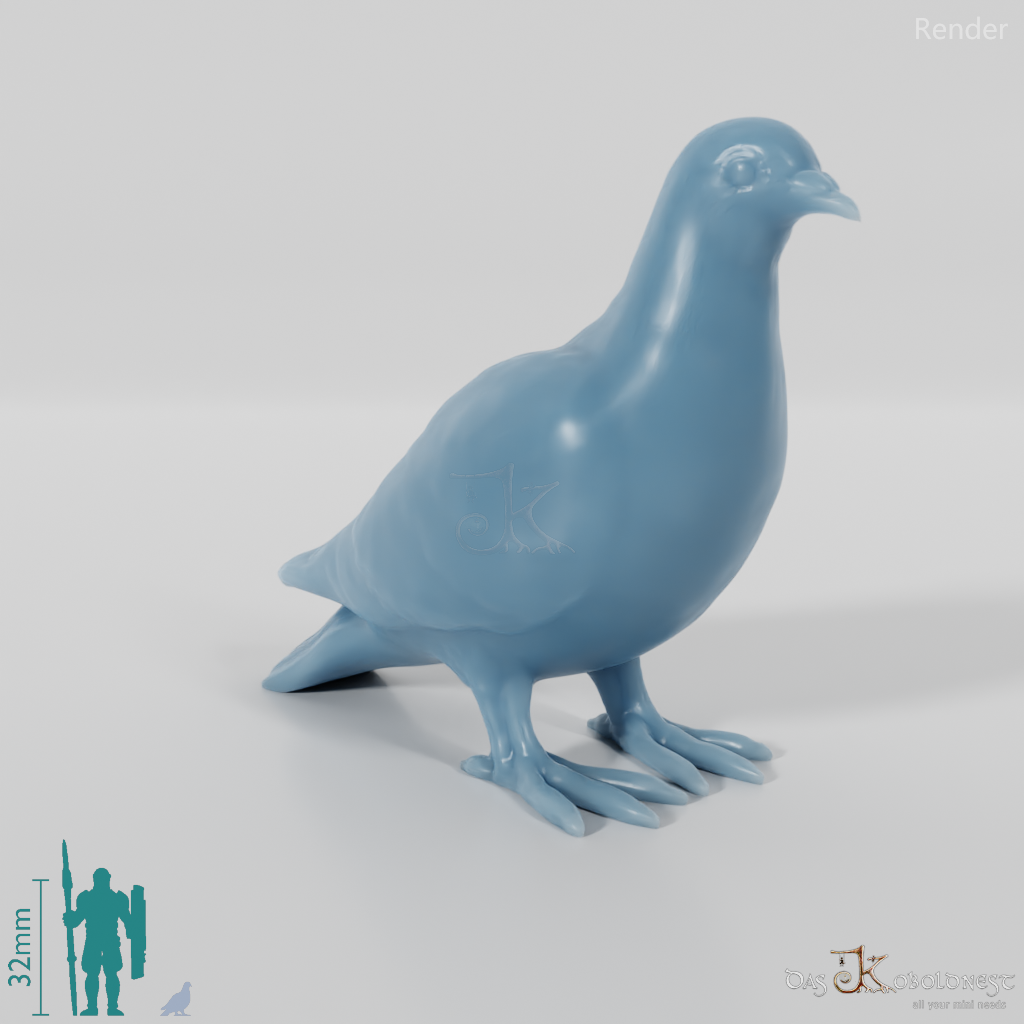 Bird - Pigeon 01