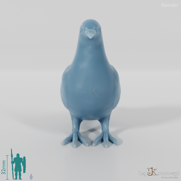 Bird - Pigeon 01