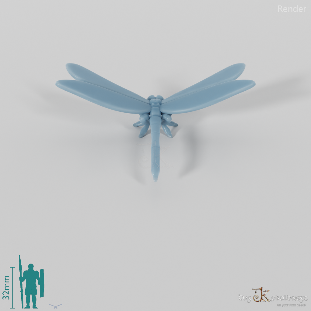 Dragonfly - Dragonfly 01