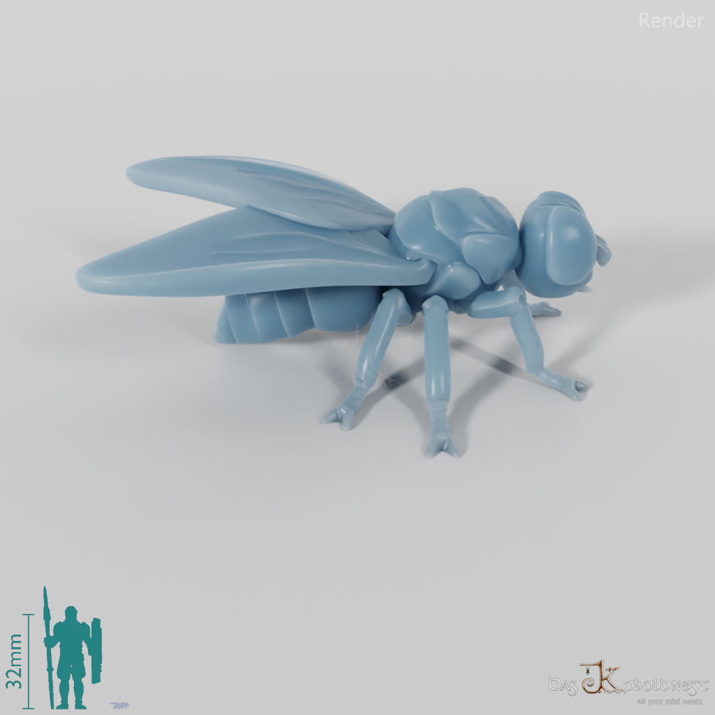 Insekt - Fliege 01