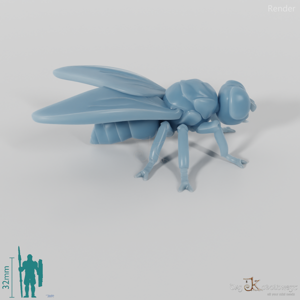 Insect - Fly 01